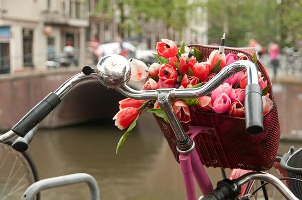 Destination-Amsterdam-Holland-Tulipsonbike