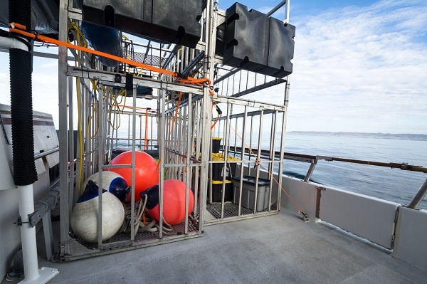 Activity-Shark-Cage-Diving