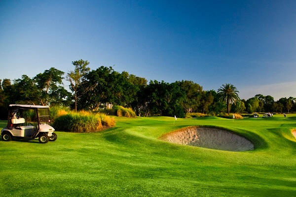 Gold buggy on sunny golf course